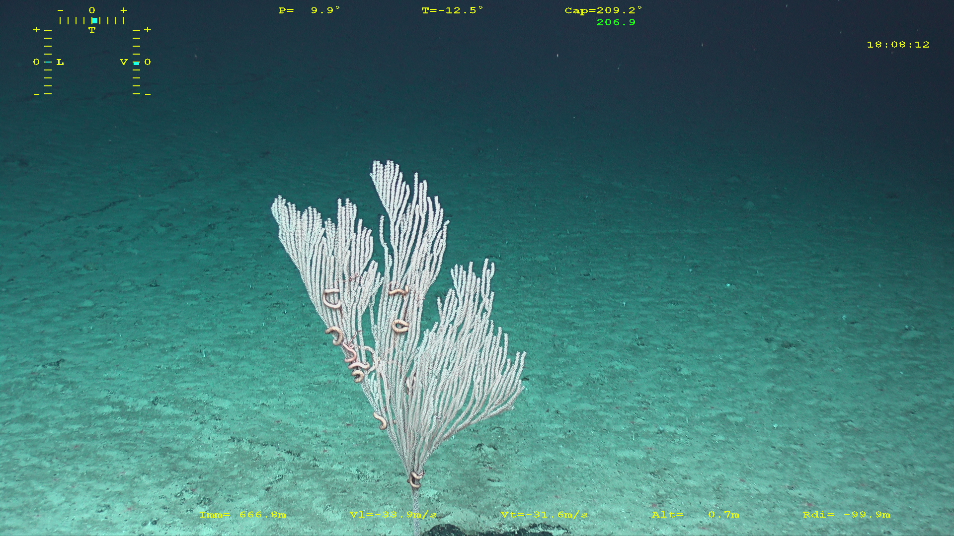 Sortie de r�sidence : "Pleine mer" Saint Brieuc